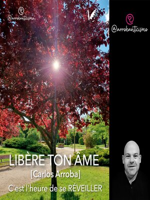 cover image of Libère ton âme
